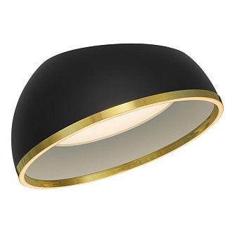 Светильник 50 см, 45W, 3000-6000K, Citilux FLOOM CL736151, черный-золото
