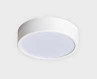 Потолочный светодиодный светильник Megalight M04-525-175 white, 24W LED, 3000K, белый