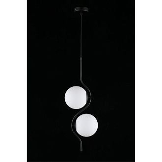 Подвесной светильник 22*80-160 см, 2*G9, 5W, Aployt Jagna APL.312.06.02, черный