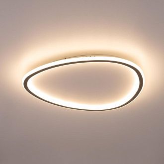 Светильник 52 см, 72W, 3000-5500K, Citilux ТRIO CL215B251E LED RGB, черный
