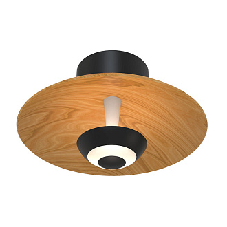 Бра 13*22*22 см, LED, 9W, 4000К, Favourite Rueda 4288-1W черный