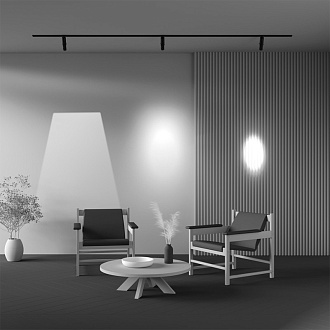 Светильник на шине 19,3*4,4*21,1 см, LED, 10W, 4000К, Maytoni Technical Gala TR108-2-10W4K-B черный