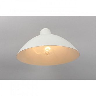 Бра 33*24*16 см, E27, 60W, Aployt Klarka APL.632.11.01, золото матовое