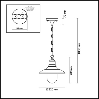 Уличный подвесной светильник Odeon Light Campa 4965/1, черный