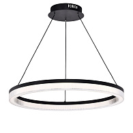 Подвесной светильник 60*150 см, LED, 30W, 4000К, Favourite Cirkler 4399-6P черный