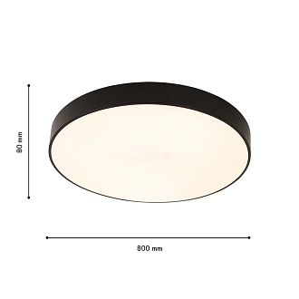 Потолочный светильник 80*8 см, 8*LED, 115W, 7000K, F-Promo Arena 4684-8C, черный