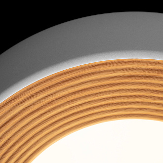 Потолочный светильник 35*11 см, 1*LED*24W 4000K LOFT IT Folk 10255/350 White белый