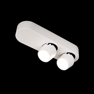Накладной светильник 25*7,5*7 см, 2*LED*7W 4000K LOFT IT Quiet 10320/2 White белый
