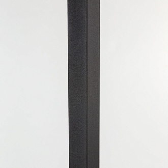 Торшер 19*122 см, LED*36 W, 4000 К, Черный Citilux Дефанс CL804011