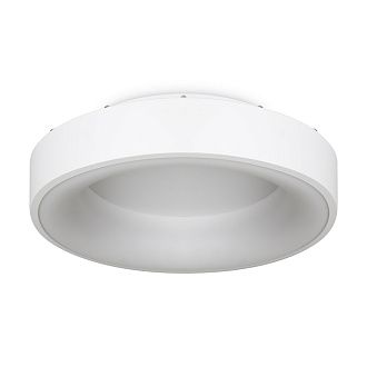Светильник *40*-10,5 см, *LED*41W, 3000-6000K, Freya Люмикс/Lumix FR6118CL-L45W, Белый