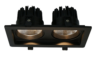 Встраиваемый стандартный светильник Arte Lamp A7007PL-2BK, черный
