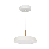 Подвесной светильник Arlight 033919(1) *30*128,5 см, 17W, белый (дневной)K,