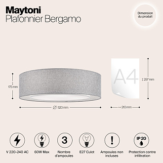 Светильник 50 см, 60W Maytoni Bergamo MOD613CL-04GR
