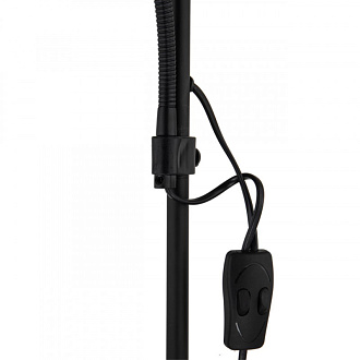 Светильник 176 см, Arte Lamp DUETTO A9569PN-2BK, черный