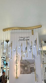 Настенный светильник 48*74 см, 24W, 3000K, Odeon Light Hall Afina 5420/24WL, бронза