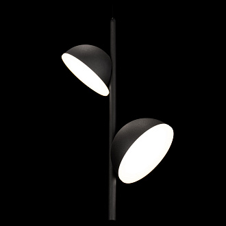 Подвесной светильник 41*22*10 см, 2*LED*5W 4000K LOFT IT Mons 10335 Black черный