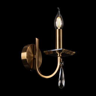 Настенный светильник (бра) Forte FR1006WL-01G