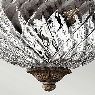 Потолочный светильник Hinkely Lighting, Арт. HK-PLANT-F-S-PZ