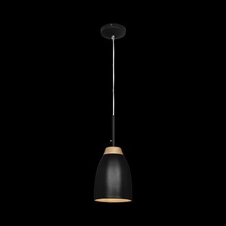 Подвесной светильник Loft IT Restor Loft4402A-BL, черный