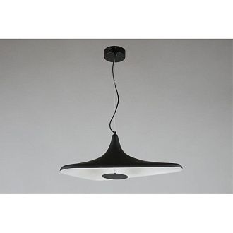 Подвесной светильник 60*32*50-200 см Aployt Silvi APL.649.06.08,