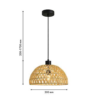 Подвес *30*20-170 см, 1*E27*40W, Favourite Canasto 4881-1P, черный