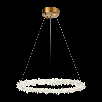 Люстра подвесная 60 см, 58W 3000 - 6500K ST LUCE Lucchero SL6105.203.01 Золотистый