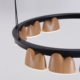 Подвесная люстра 87,5*60*161 см, 94.5W, Favourite Interline 4266-21P матовый черный, прозрачный акрил с узором, текстура дерева