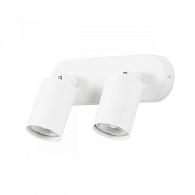Светильник 22 см, Arte Lamp AQUARIUS A3226PL-2WH, белый