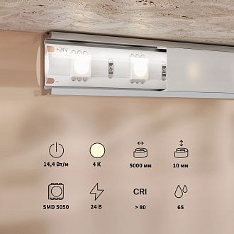 Светодиодная лента Base 24V 5050 14,4W/м 4000K 5м IP 65 201193, 500 см, Maytoni Базовая 201193, цена за метр, катушкой по 5 м