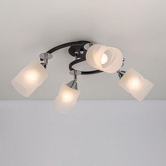 Люстра Citilux Сиерра CL119241 черный