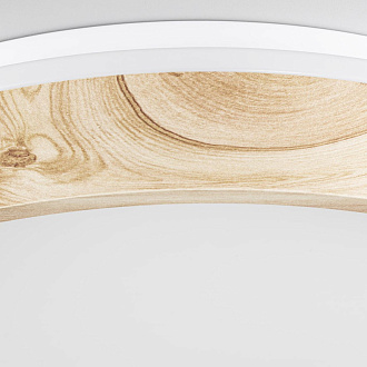 Светильник 39 см, 48W, 3000-5500K, 4100Lm, 16 м2, IP20 Citilux CL753352G ENZO Клен LED с пультом 