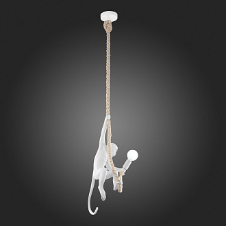 Светильник подвесной 28 см,  EVOLUCE TENATO SLE115103-01 Белый