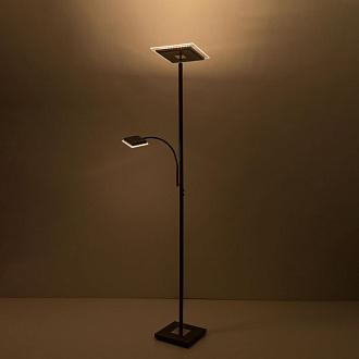 Торшер 30W, 3000K Citilux Харди CL802015 коричневый