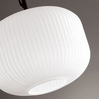 Светильник подвесной Roofi 4754/1 Odeon Light, диаметр 30 см, черный