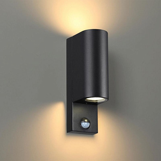 Светильник 23 см, Odeon Light MOTTO 4390/2W, черный
