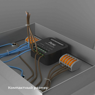 Умное двухканальное реле 76007/00 Elektrostandard