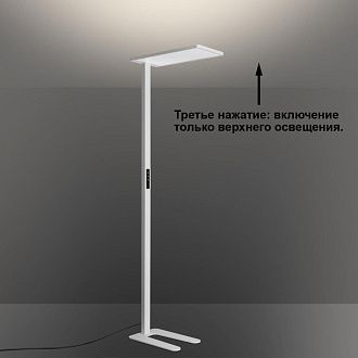 Торшер светодиодный диммируемый полного спектра 60*28,8*-194,7 см, 2*LED*100W, 4000K, Novotech STUDI 359545, белый