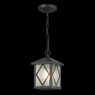 Светильник уличный подвесной 20*14 см, ST LUCE LORNE SL084.403.01 Черный