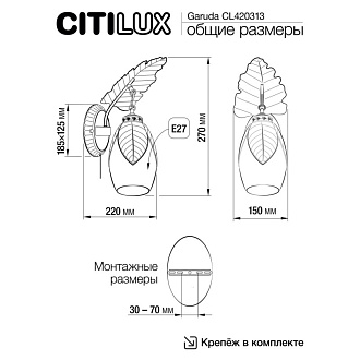 Бра 15*27 см, 1*Е27 Citilux CL420313 Гаруда бронза