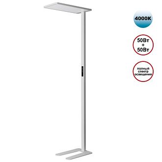 Торшер светодиодный диммируемый полного спектра 60*28,8*-194,7 см, 2*LED*100W, 4000K, Novotech STUDI 359545, белый