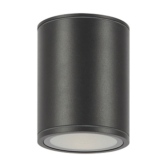 Светильник 11 см, 12W, 3000K, Maytoni Bar O306CL-L12GF, графит, IP65