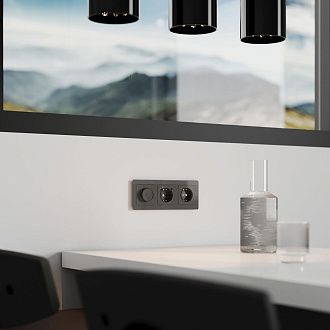 W1142044 Диммер, графит акрил Werkel, 4690389197499