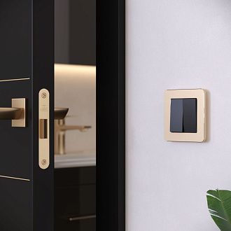 W0012611 Рамка на 1 пост Platinum, шампань Werkel, 4690389184437