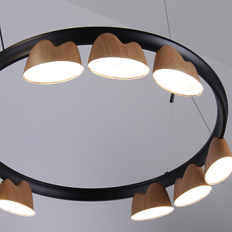 Подвесная люстра 87,5*60*161 см, 94.5W, Favourite Interline 4266-21P матовый черный, прозрачный акрил с узором, текстура дерева