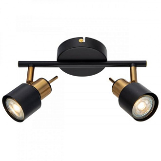 Светильник 25 см, Arte Lamp ALMACH A1906PL-2BK, черный