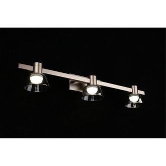 Бра 11*54*9 см 15W, 4000K, Aployt Rezeda APL.788.01.03, серый