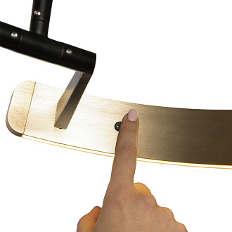 Торшер 220 см, 42W, 3000K, Loft It 10027, черный