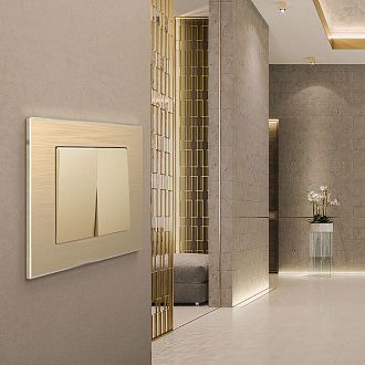 W0011711 Рамка на 1 пост Aluminium, шампань Werkel, 4690389158001