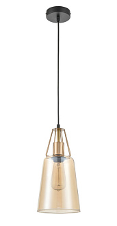 Подвесной светильник  16*154 см, 1*E27 черный, латунь Vele Luce Roberto VL5552P11