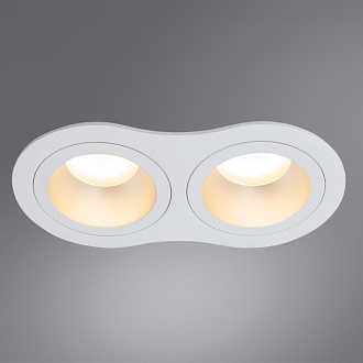 Встраиваемый светильник Arte Lamp ALKES A2161PL-2WH белый, вр 16,4*8,2 см